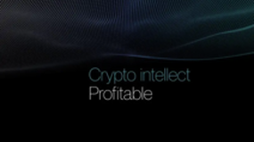 CryptoIntellect (cryptointellect.top)