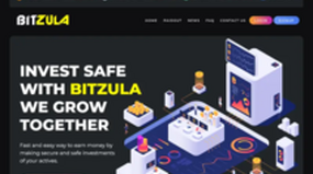 BITZULA LTD (bitzula.com)