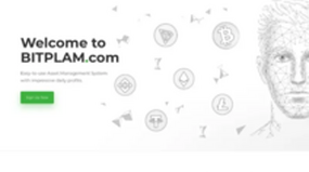 BIT PLAM LTD (bitplam.com)