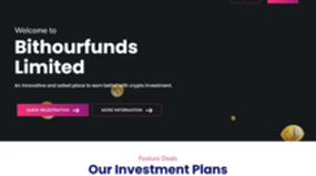 Bithourfunds (bithourfunds.com)