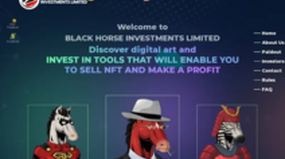 Black Horse Investments Limited (horse.investments)