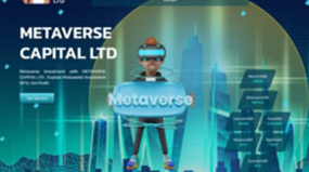 METAVERSE CAPITAL LTD (metaversecapital.insure)