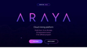 Araya Mining (araya.ltd)