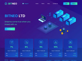 Bitneo (bitneo.top)