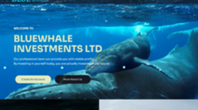 Bluewhale Investment Ltd (bluewhaleinv.com)