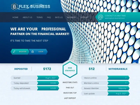 Flex Business Finance Ltd (flex-business.biz)