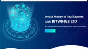 Bit Wings Ltd (bitwings.top)