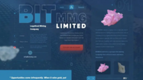 BitMMG Limited (bitmmg.com)