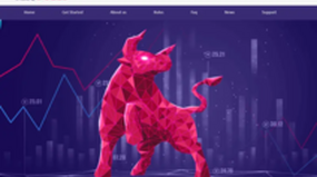 MacBulls Limited (macbulls.com)