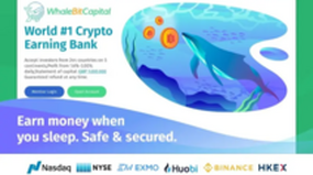 Whale Bit Capital Limited (whalebitcapital.com)