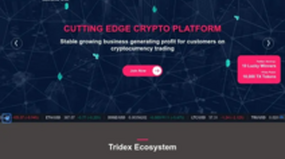 Tridex (tridex.io)