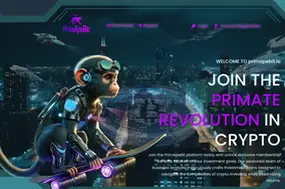 primapebit.io (primapebit.io)