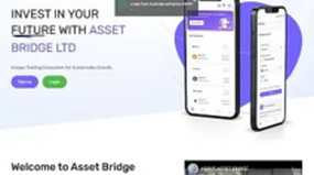 ASSETBRIDGELTD.COM (assetbridgeltd.com)