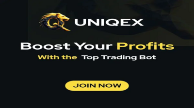 UNIQEX (uniqex.com) program details. Reviews, Scam or Paying - HyipScan.Net