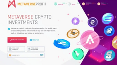 Metaverse profit LTD (metaverseprofit.org) program details. Reviews, Scam or Paying - HyipScan.Net