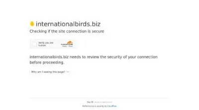 Internationalbirds (internationalbirds.biz) program details. Reviews, Scam or Paying - HyipScan.Net