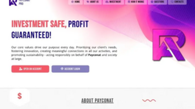 Payconat (payconat.pro) program details. Reviews, Scam or Paying - HyipScan.Net