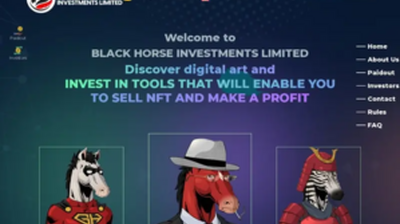 Black Horse Investments Limited (horse.investments) program details. Reviews, Scam or Paying - HyipScan.Net