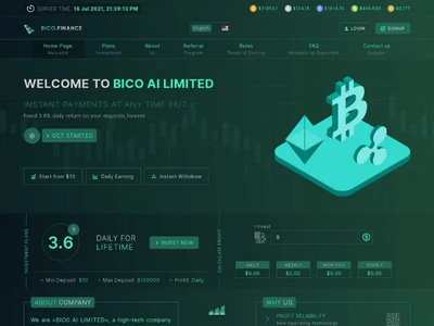Bico Finance (bico.finance) program details. Reviews, Scam or Paying - HyipScan.Net
