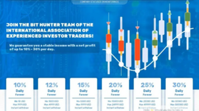 BitHunter (bit-hunter.io) program details. Reviews, Scam or Paying - HyipScan.Net