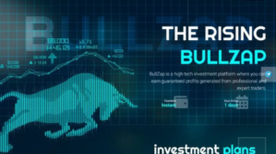 BullZAP Limited (bullzap.top) program details. Reviews, Scam or Paying - HyipScan.Net