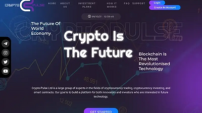 CryptoPulse Ltd (cryptopulse.biz) program details. Reviews, Scam or Paying - HyipScan.Net