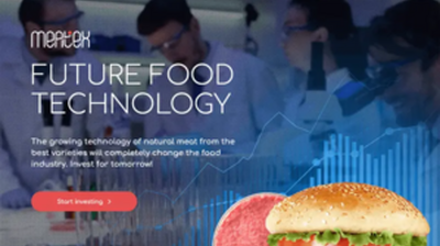 Meatex (meatex.io) program details. Reviews, Scam or Paying - HyipScan.Net
