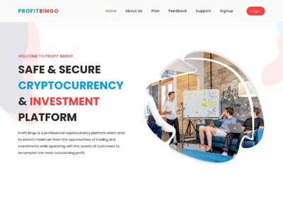 Profit Bingo (profitbingo.top) program details. Reviews, Scam or Paying - HyipScan.Net