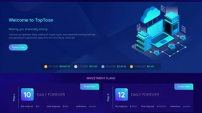 TopTose LTD (toptose.com) program details. Reviews, Scam or Paying - HyipScan.Net