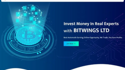 Bit Wings Ltd (bitwings.top) program details. Reviews, Scam or Paying - HyipScan.Net