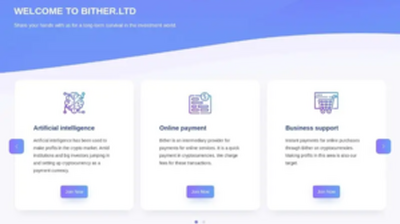 Bither Ltd (bither.ltd) program details. Reviews, Scam or Paying - HyipScan.Net