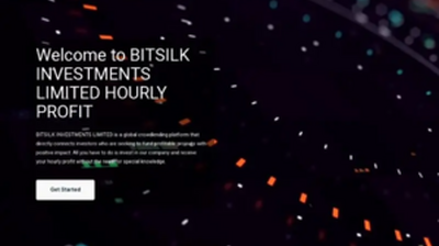 Bitsilk Investments Limited (bitsilk.investments) program details. Reviews, Scam or Paying - HyipScan.Net