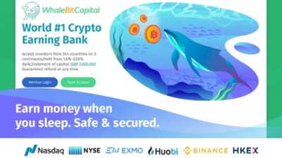 Whale Bit Capital Limited (whalebitcapital.com) program details. Reviews, Scam or Paying - HyipScan.Net