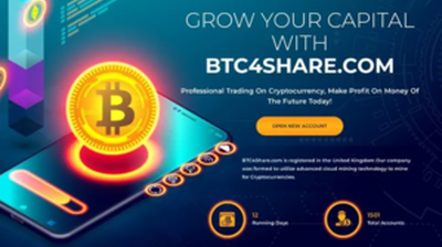 BTC4Share (btc4share.com) program details. Reviews, Scam or Paying - HyipScan.Net