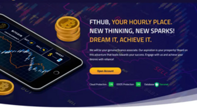 FTHUB (fthub.io) program details. Reviews, Scam or Paying - HyipScan.Net