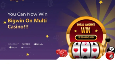 Multi-Casino (multi-casino.vip) program details. Reviews, Scam or Paying - HyipScan.Net