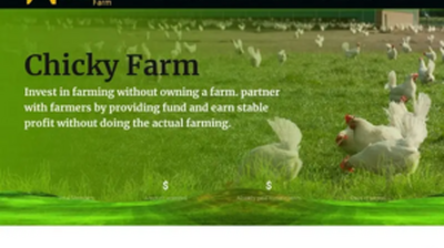 Chicky Farm (chickyfarm.com) program details. Reviews, Scam or Paying - HyipScan.Net