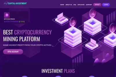 capital-investment.online (capital-investment.online) program details. Reviews, Scam or Paying - HyipScan.Net