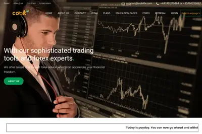 CobitFX (cobitfx.com) program details. Reviews, Scam or Paying - HyipScan.Net