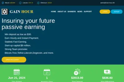 Gain-Hour (gain-hour.cfd) program details. Reviews, Scam or Paying - HyipScan.Net